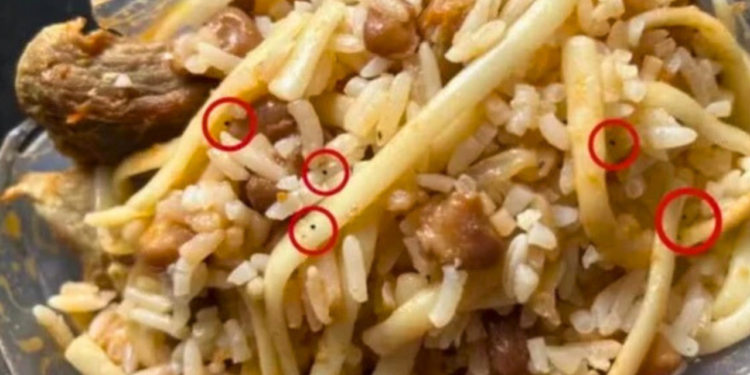 Adolescente é apreendida após tentar envenenar pais com chumbinho por namoro proibido em MG