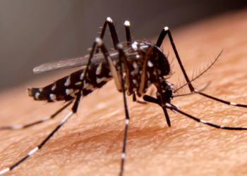 Vistorias do 4º LIRAa do ano começam nesta segunda-feira em Valadares