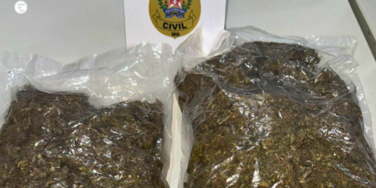 Adolescente é flagrado ao receber 1kg de maconha pelos Correios em Valadares