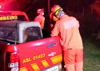 Corpo é encontrado em cova rasa no Conjunto Sir, em Valadares