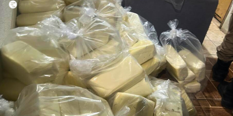 Mais de 3,7 toneladas de mussarela são apreendidas em Valadares