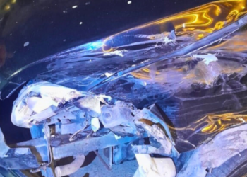 Motorista sem habilitação quase atropela homem e causa acidente no Centro de Valadares