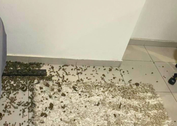 Dupla em moto atira contra apartamento, em Valadares