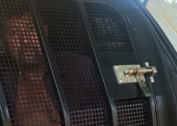 Foragido por feminicídio em Boston é capturado em Engenheiro Caldas MG