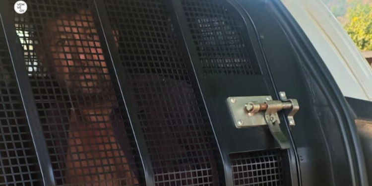 Foragido por feminicídio em Boston é capturado em Engenheiro Caldas MG