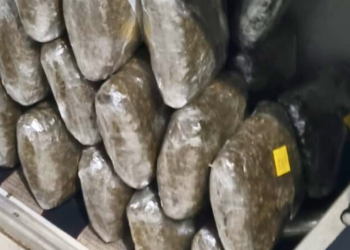 Mais de 100 kg de drogas, arma e munições são apreendidos em Valadares