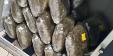 Mais de 100 kg de drogas, arma e munições são apreendidos em Valadares