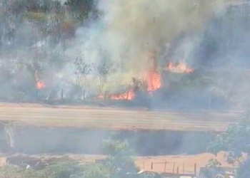 Incêndio às margens da BR-381 quase atinge casas no bairro Turmalina, em Valadares