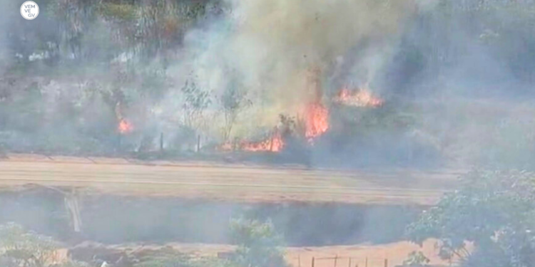 Incêndio às margens da BR-381 quase atinge casas no bairro Turmalina, em Valadares