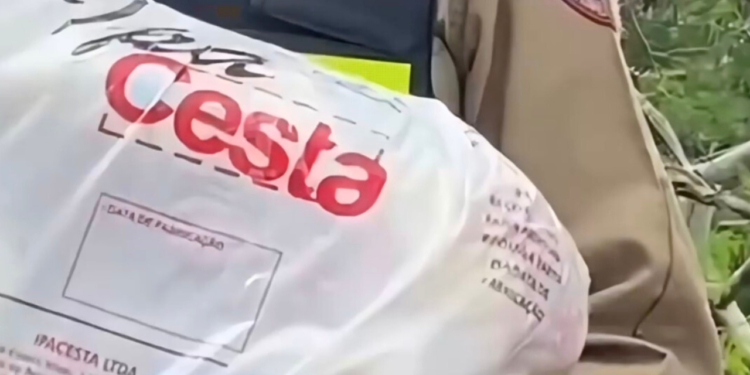 Ação conjunta da PM e Maçonaria arrecada 5,5 toneladas de alimentos em Valadares