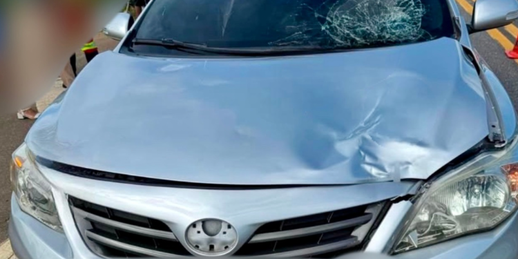 Atropelamento na BR-116 deixa uma vítima fatal