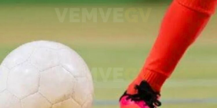 Dia 29 começa a Taça Valadares de Futsal 2024.