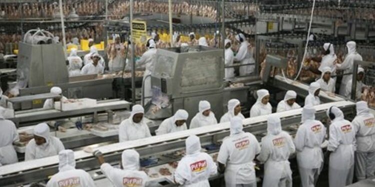 Investimentos em granjas na Zona da Mata​ 