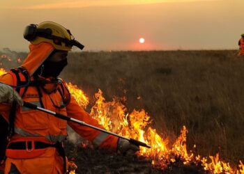 Previsão de inverno chuvoso traz alívio e alerta para produtores rurais​   
