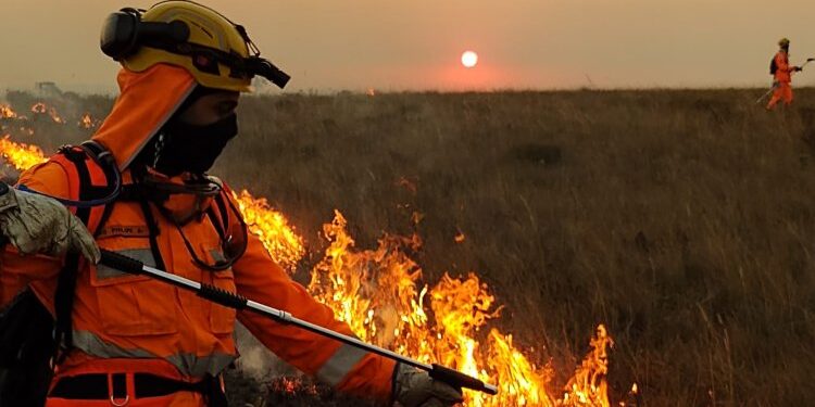 Previsão de inverno chuvoso traz alívio e alerta para produtores rurais​   