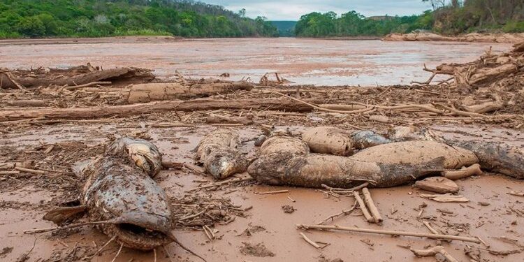 PIB de Valadares perdeu com desastre​ 