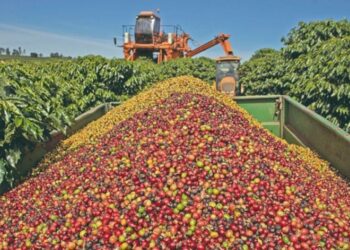 Exportações mineiras para os EUA caem 49,5%