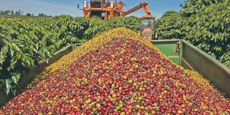 Exportações mineiras para os EUA caem 49,5%