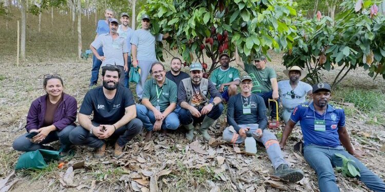 Curso piloto de cacauicultura capacita produtores em Raul Soares