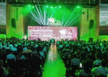 Conacarne 2025 discute caminhos para o futuro da pecuária brasileira