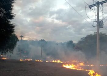 Queimadas deixam 11 mil sem energia