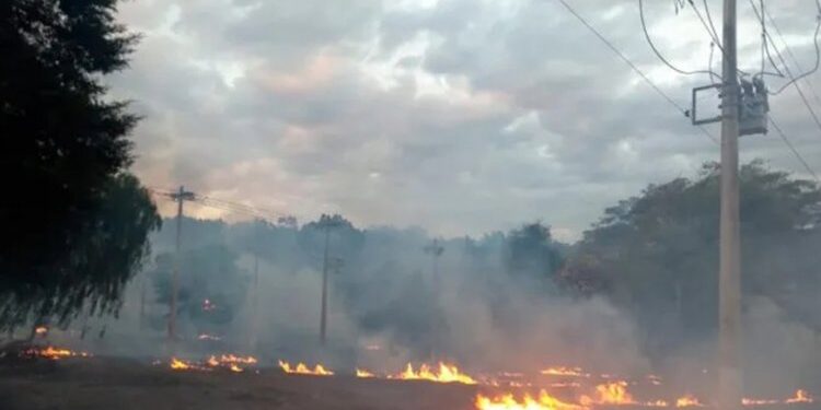 Queimadas deixam 11 mil sem energia