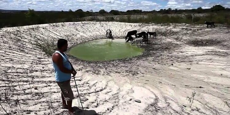 Agro sofre prejuízos de R$ 875 mi