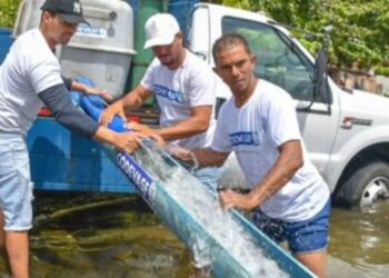 Peixamento fortalece pesca artesanal no Norte
