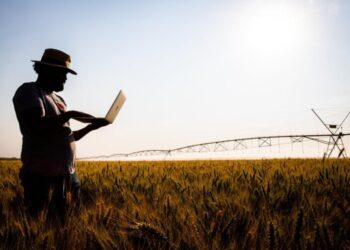 INAES celebra 18 anos dedicados ao fortalecimento do agro mineiro