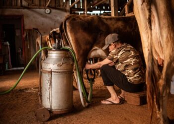 Setor leiteiro conquista avanço em processo antidumping