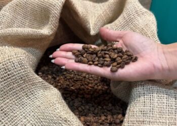 Agronegócio mineiro cresce