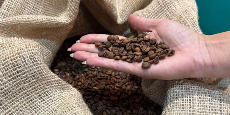 Agronegócio mineiro cresce