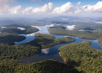 Parque recebe 50 mil visitantes