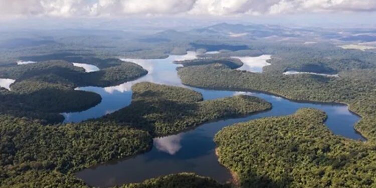 Parque recebe 50 mil visitantes