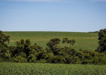 Funrural, qual a melhor opção?