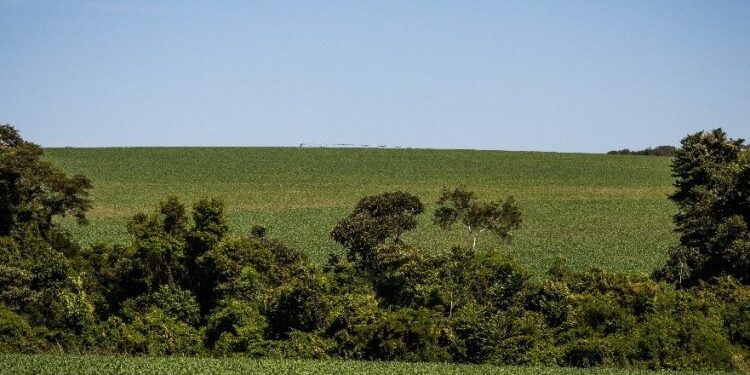 Funrural, qual a melhor opção?