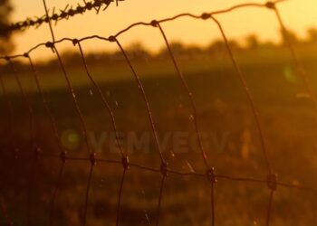 Segurança Pública cria 2,7 mil novas vagas no sistema prisional de Minas Gerais