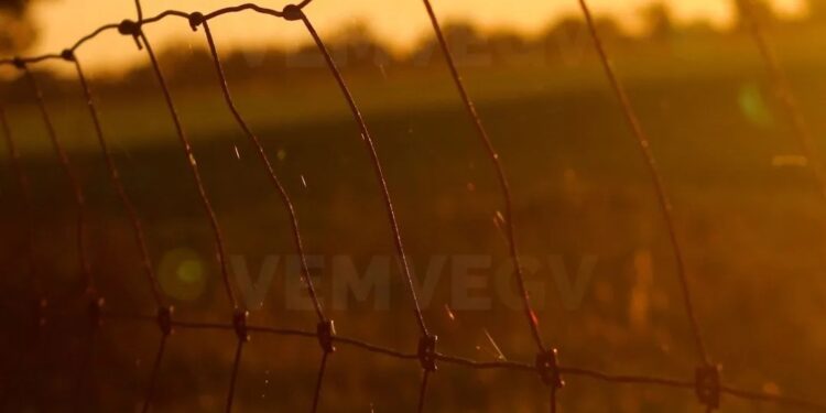 Segurança Pública cria 2,7 mil novas vagas no sistema prisional de Minas Gerais