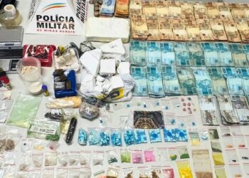 Casal é preso em Valadares com drogas, armas e mais de R$ 67 mil