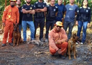 Corpo desaparecido há dois meses é encontrado por cães farejadores