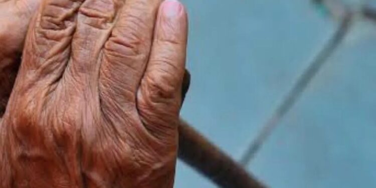 Lar dos Velhinhos em Valadares se prepara para o Dia dos Avós