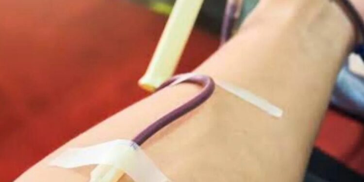 Município indenizará filha de Testemunha de Jeová por transfusão de sangue contra a vontade da mãe