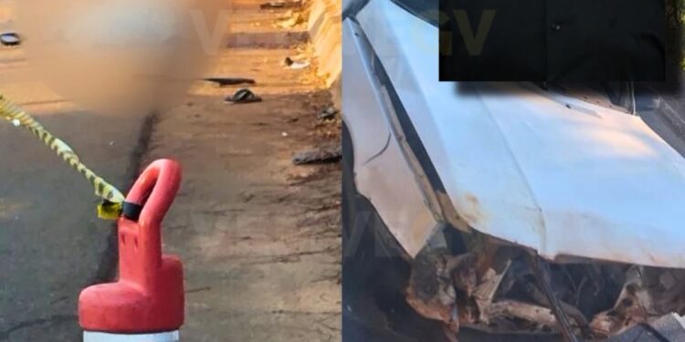 Vereador de Sobrália MG morre em acidente, após colisão com animal silvestre