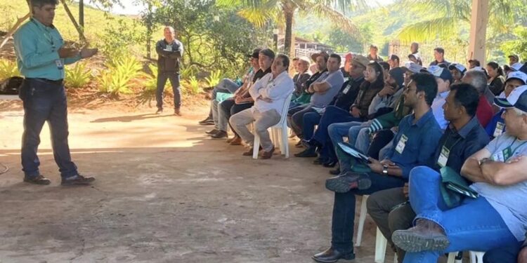 Sobrália recebe Dia de Campo sobre Conservação de Solo e Recuperação de Pastagens