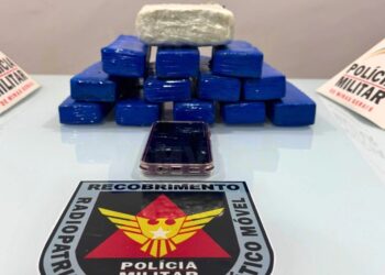 Mulher é presa com quase 8 kg de maconha em ônibus, em Valadares