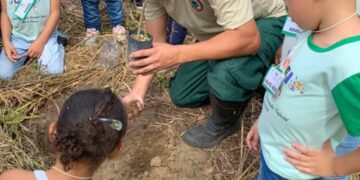 Em Valadares, Dia da Árvore será celebrado com palestras e plantio em escola