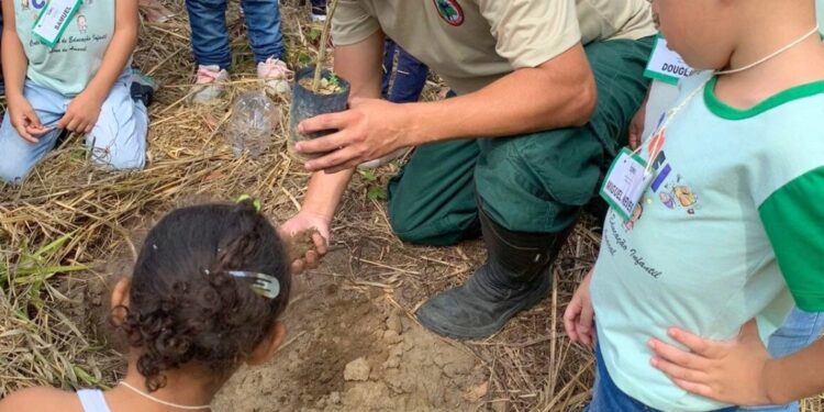 Em Valadares, Dia da Árvore será celebrado com palestras e plantio em escola