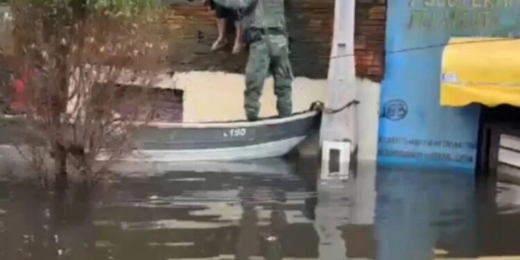 Policiais militares de Governador Valadares, salvam mulher e seus pets no Rio Grande do Sul