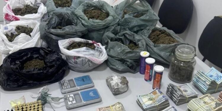 Polícia apreende drogas, munições e grande quantia em dinheiro em Divino das Laranjeiras MG