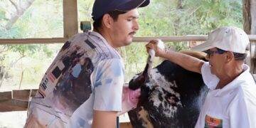 Sistema Faemg Senar oferece capacitações gratuitas a partir desta segunda ( 30/09 )